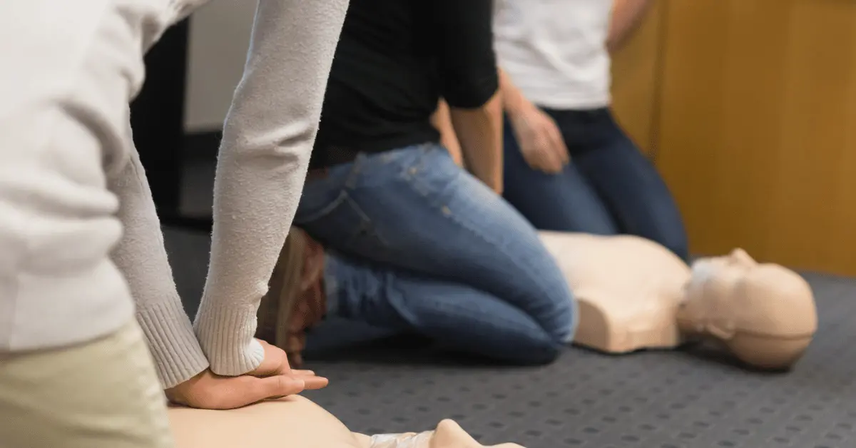 Hands-on CPR training session with adult manikins in San Diego classroom